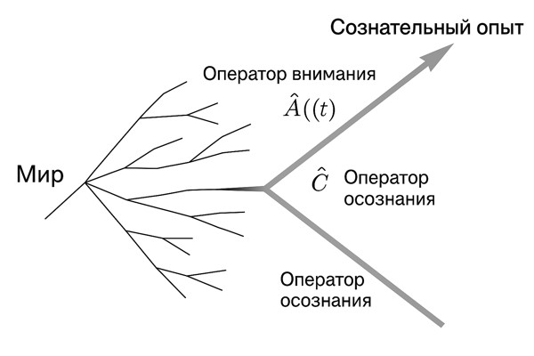   / Diagram of consciousness [@Andrey_Angorsky]