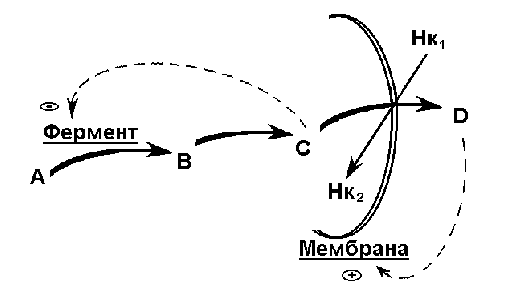 . 2           =  - =