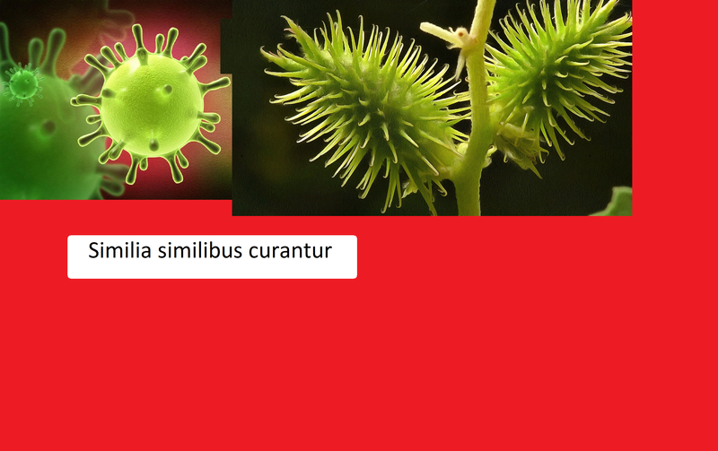 Similia similibus curantur []