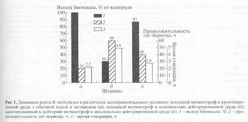  ,       B. methylicum    [..]