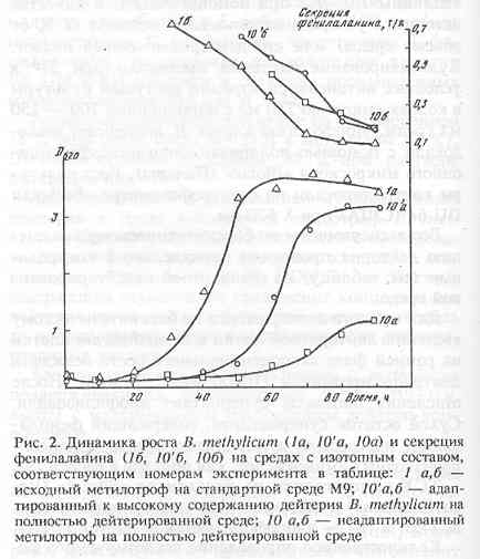 .2   B. methylicum       [..]