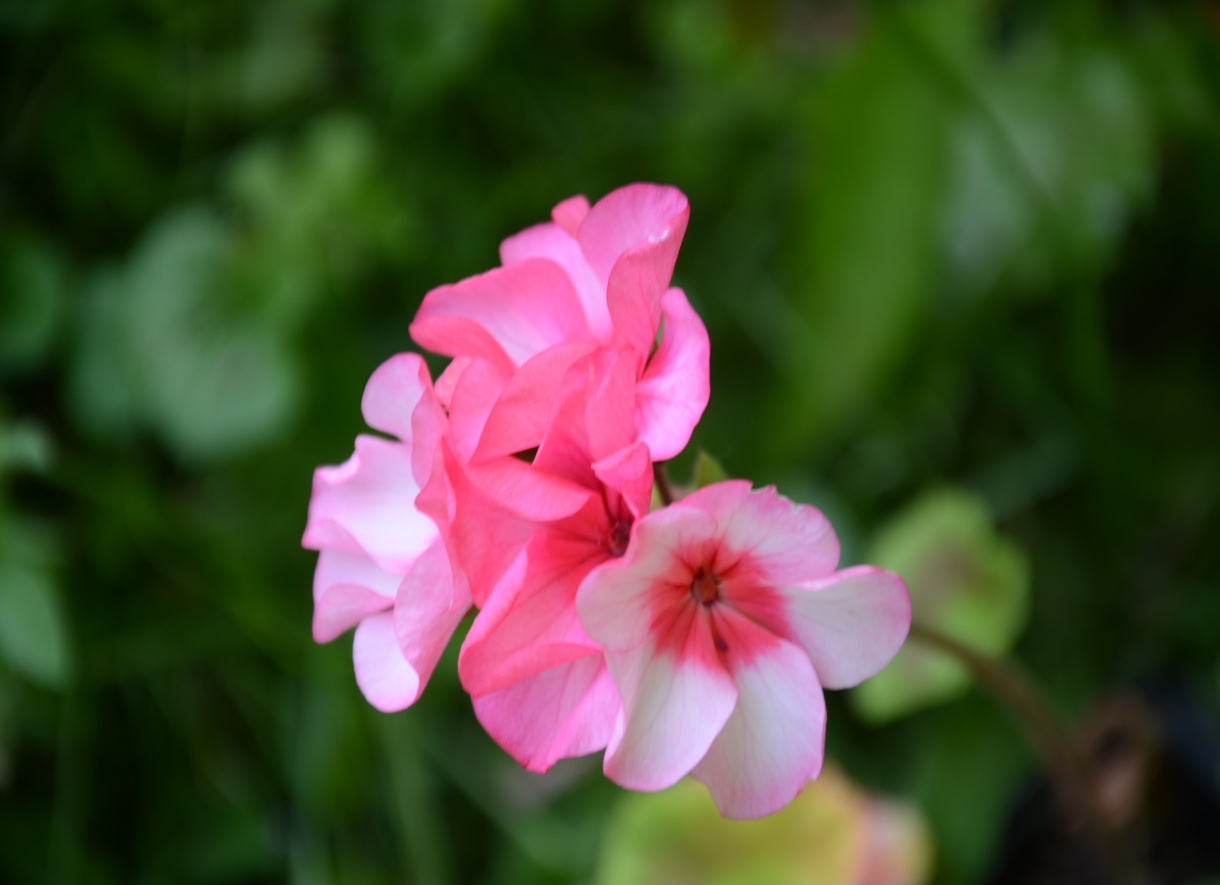 D:\   01.03.2022  !\  \2024\DSC_7828.JPG