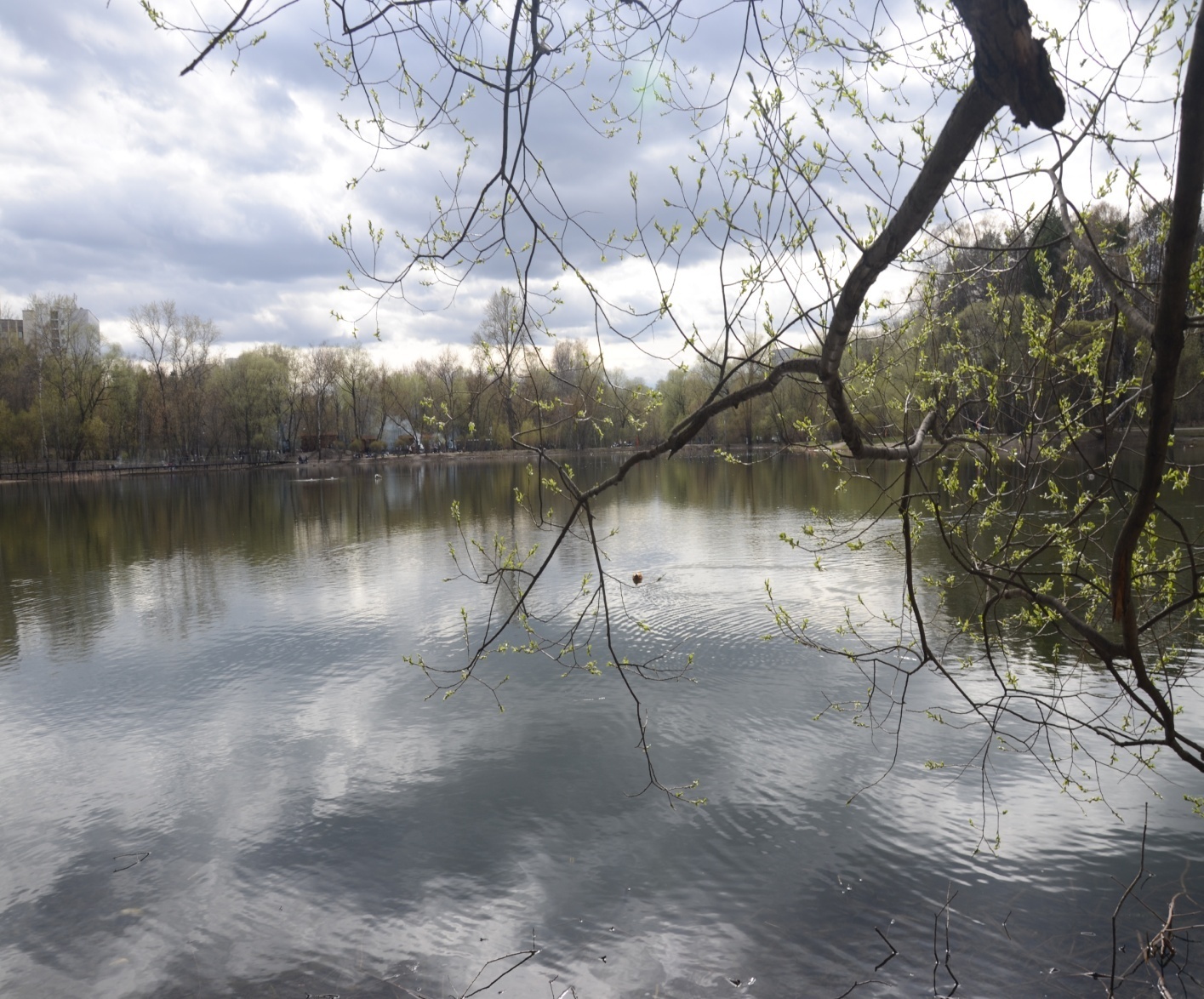 D:\   01.03.2022  !\  \ \DSC_6818.JPG