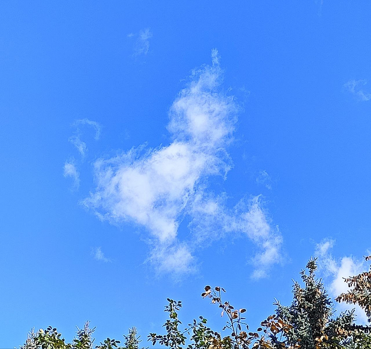   [  ()]